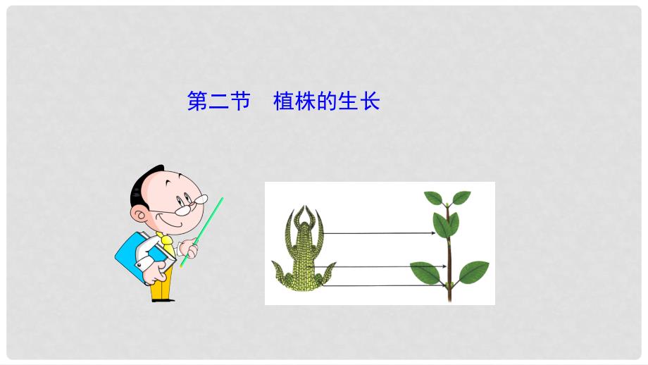 湖北省北大附中武汉为明实验学校七年级生物上册 第3单元 第2章 第2节 植株的生长课件 （新版 ）新人教版_第1页