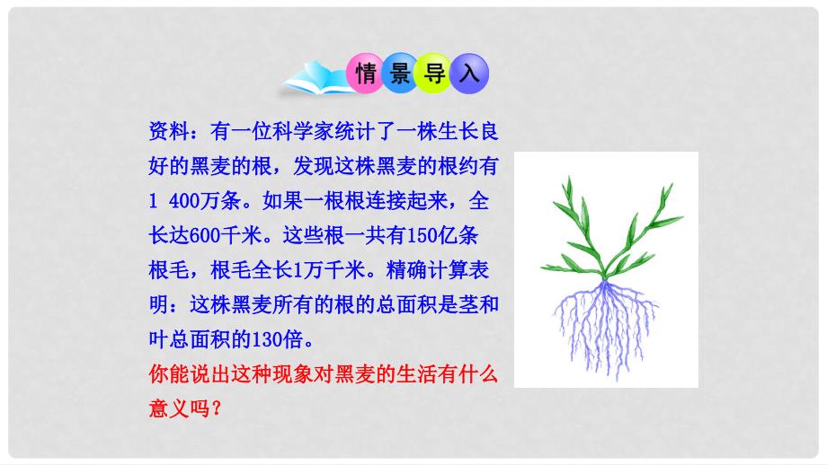 湖北省北大附中武汉为明实验学校七年级生物上册 第3单元 第2章 第2节 植株的生长课件 （新版 ）新人教版_第2页