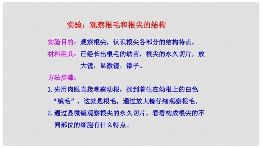 湖北省北大附中武汉为明实验学校七年级生物上册 第3单元 第2章 第2节 植株的生长课件 （新版 ）新人教版_第5页