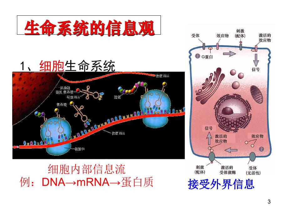 专题34生态系统的信息传递和稳定性_第3页