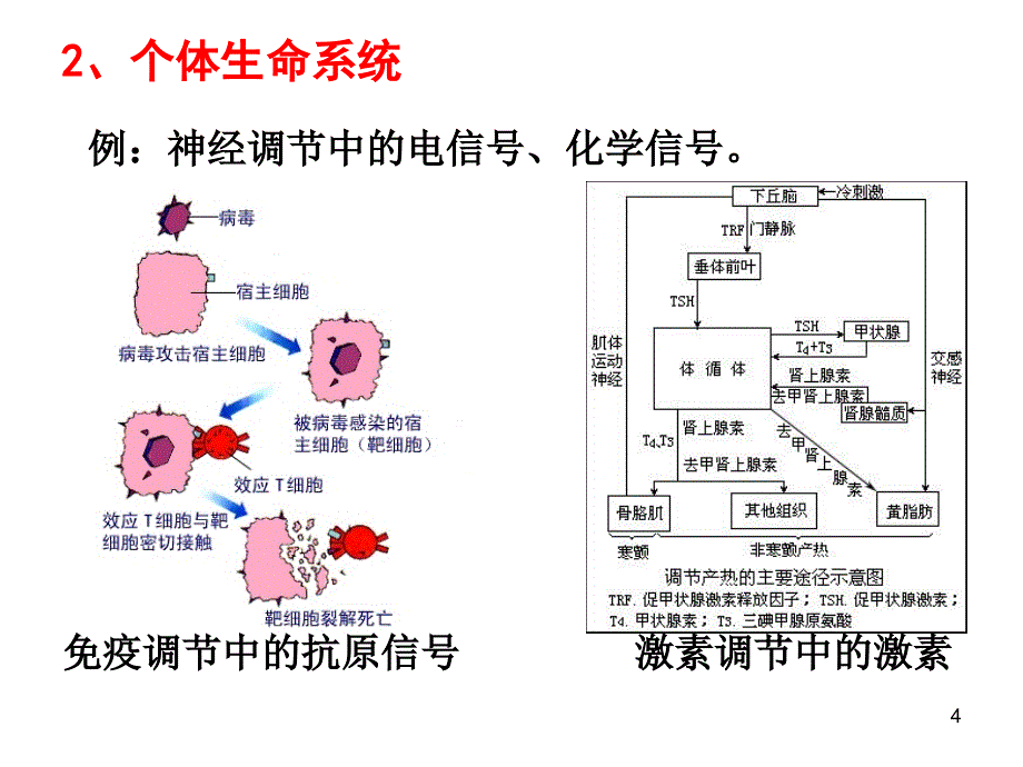 专题34生态系统的信息传递和稳定性_第4页