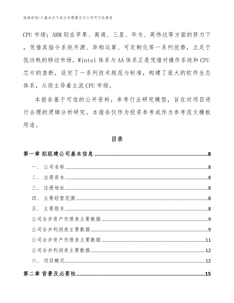 六盘水关于成立处理器芯片公司可行性报告（模板参考）_第3页