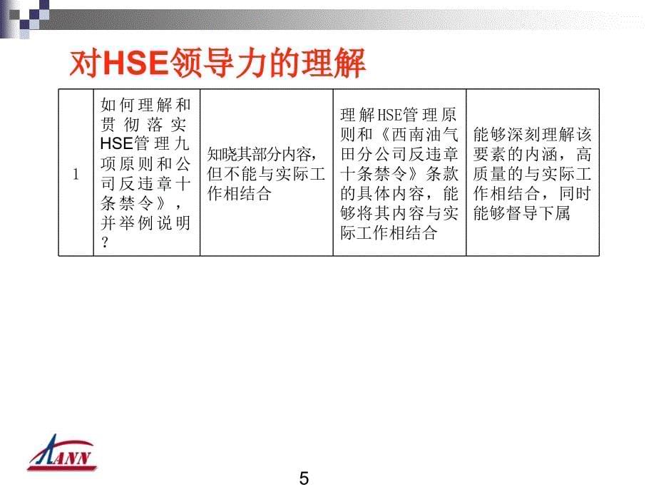 HSE履职能力评估培训课件_第5页