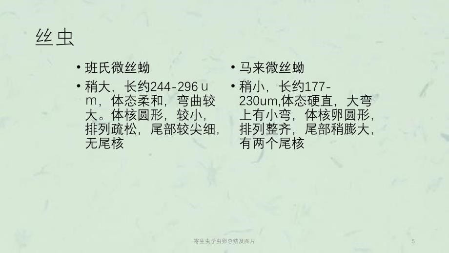 寄生虫学虫卵总结及图片课件_第5页