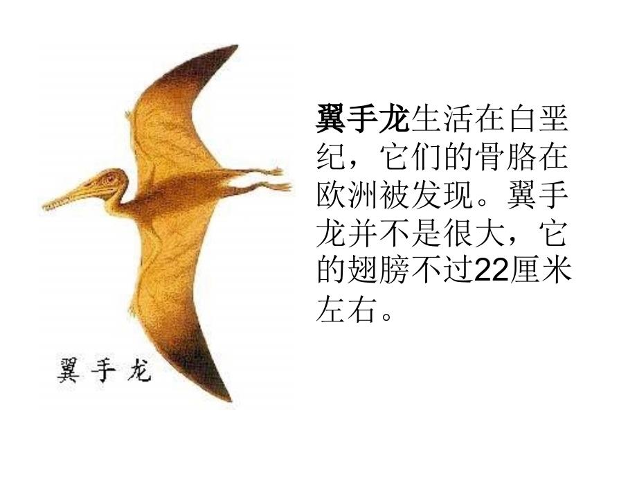 《10-网络课堂——探索恐龙灭绝的原因》课件-_第3页