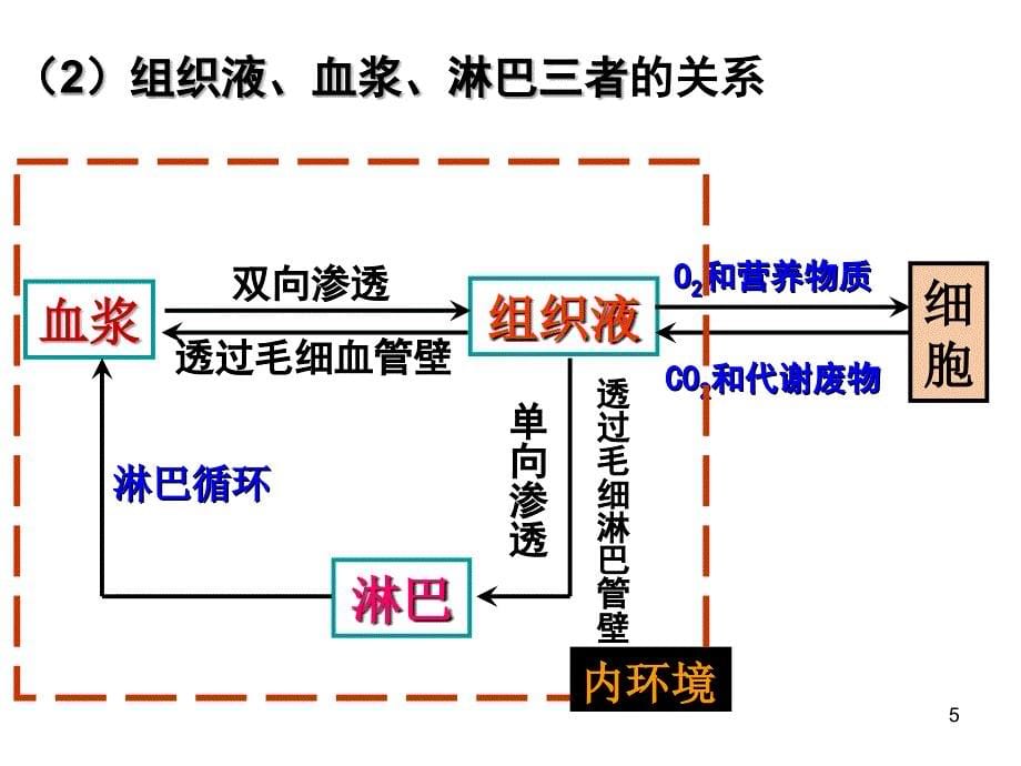 人体内环境的稳态及其事例校_第5页