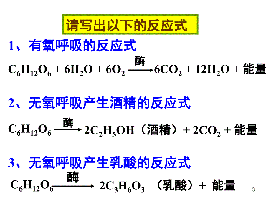 高一生物细胞呼吸与光合作用.ppt_第3页