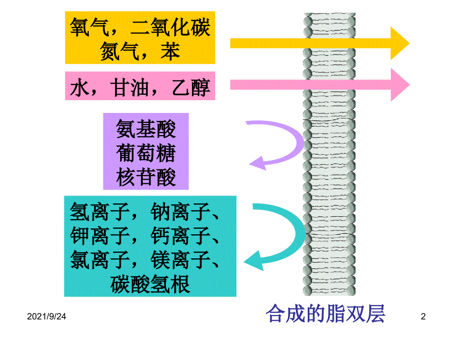 43_物质跨膜运输方式_第2页