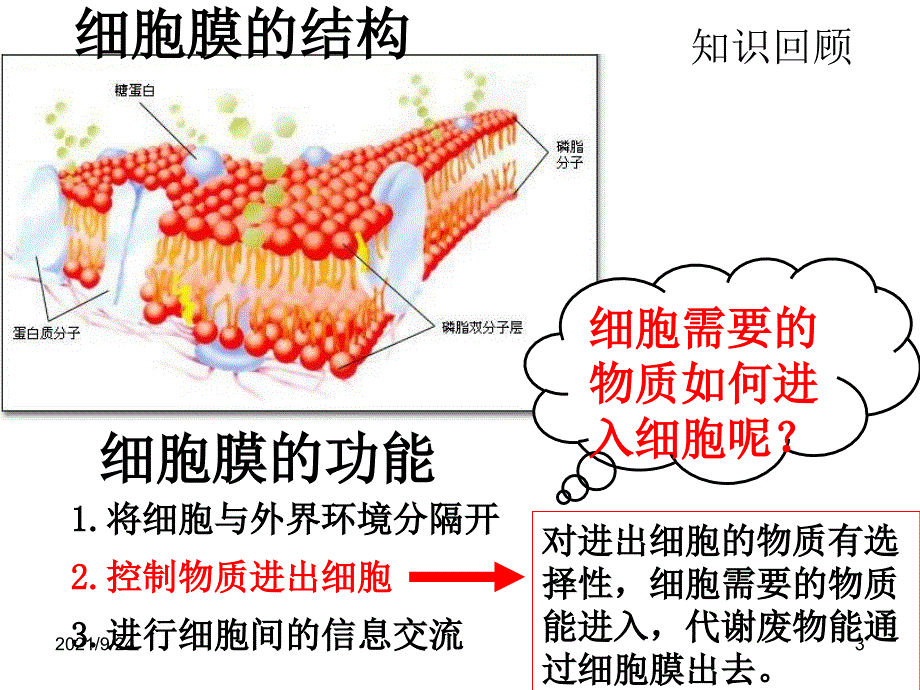 43_物质跨膜运输方式_第3页