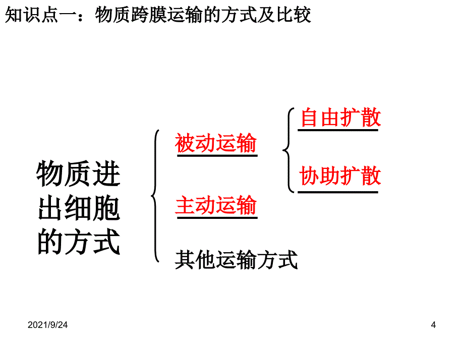 43_物质跨膜运输方式_第4页