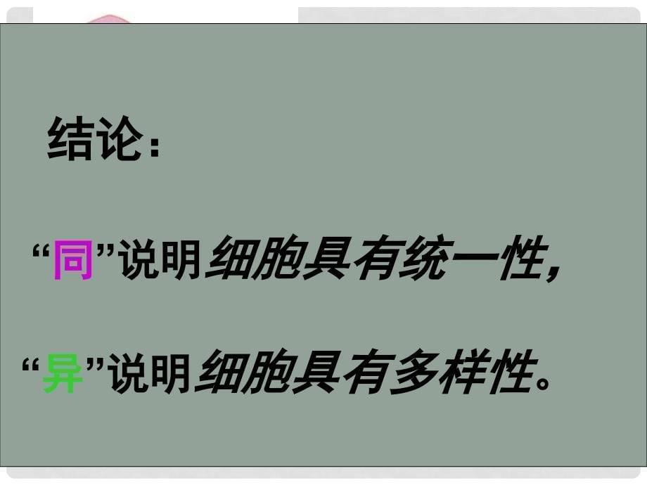 河北省邯郸四中高中生物《12细胞的多样性和统一性》课件 新人教版必修1_第5页