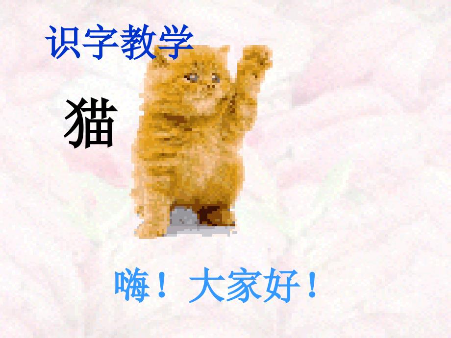 识字教学 猫_第1页