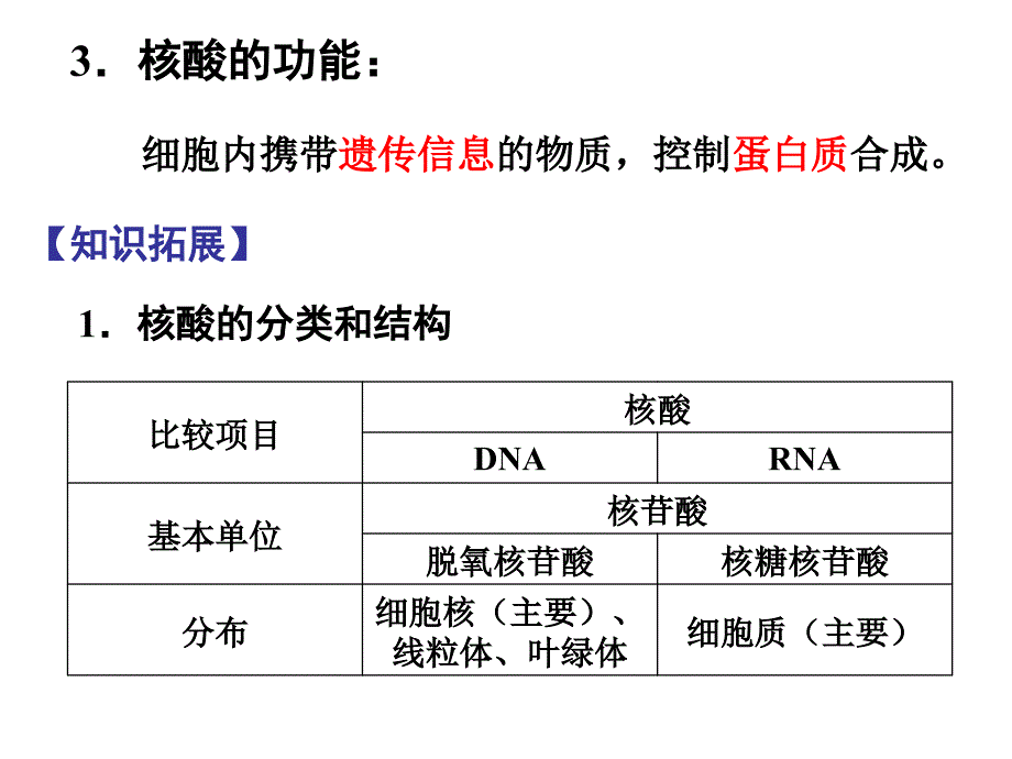 遗传物质的携带者核酸_第3页