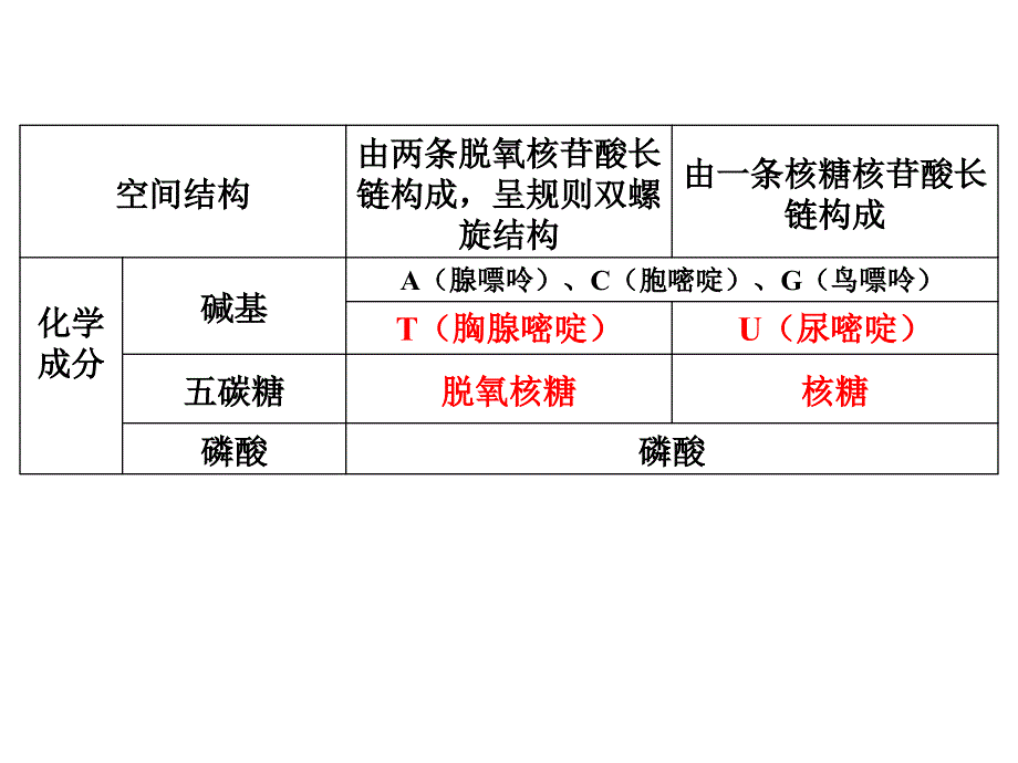 遗传物质的携带者核酸_第4页