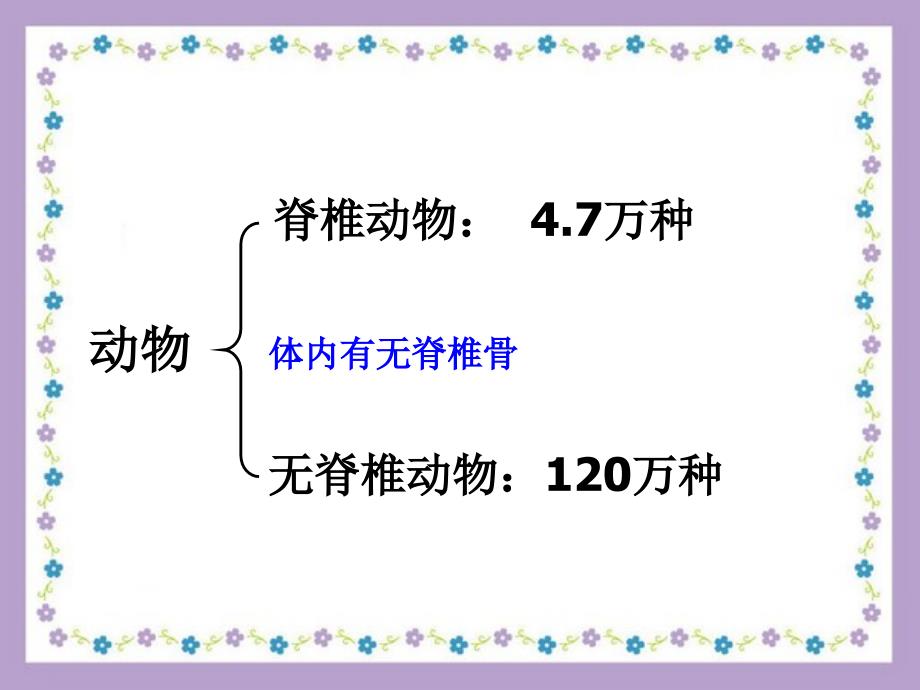 常见的脊椎动物PPT优秀课件_第2页