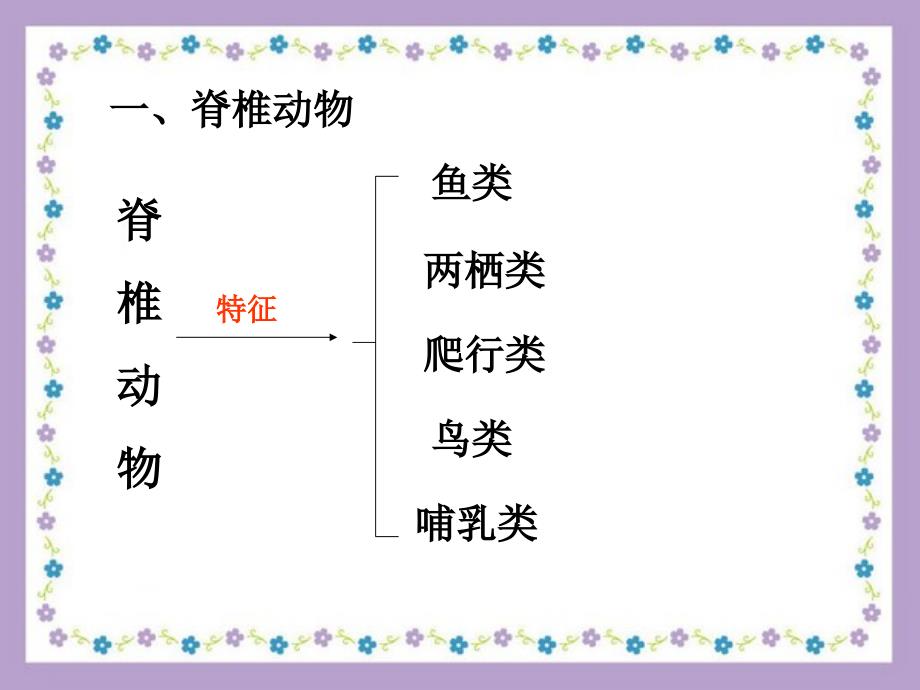 常见的脊椎动物PPT优秀课件_第3页