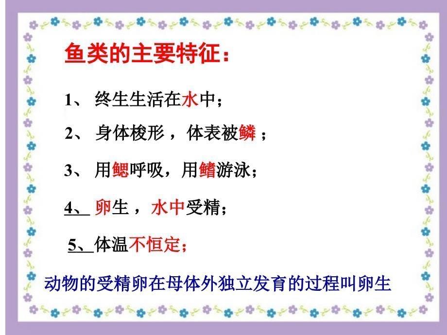 常见的脊椎动物PPT优秀课件_第5页