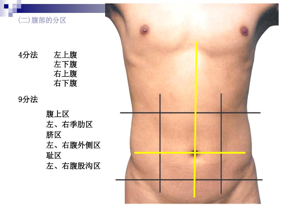 消化系统PPT课件_第3页