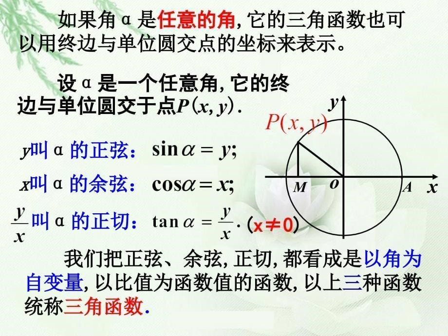 121任意角的三角函数_第5页