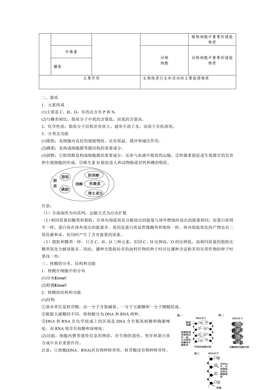 高中生物必修一-糖、脂肪和蛋白质_第2页