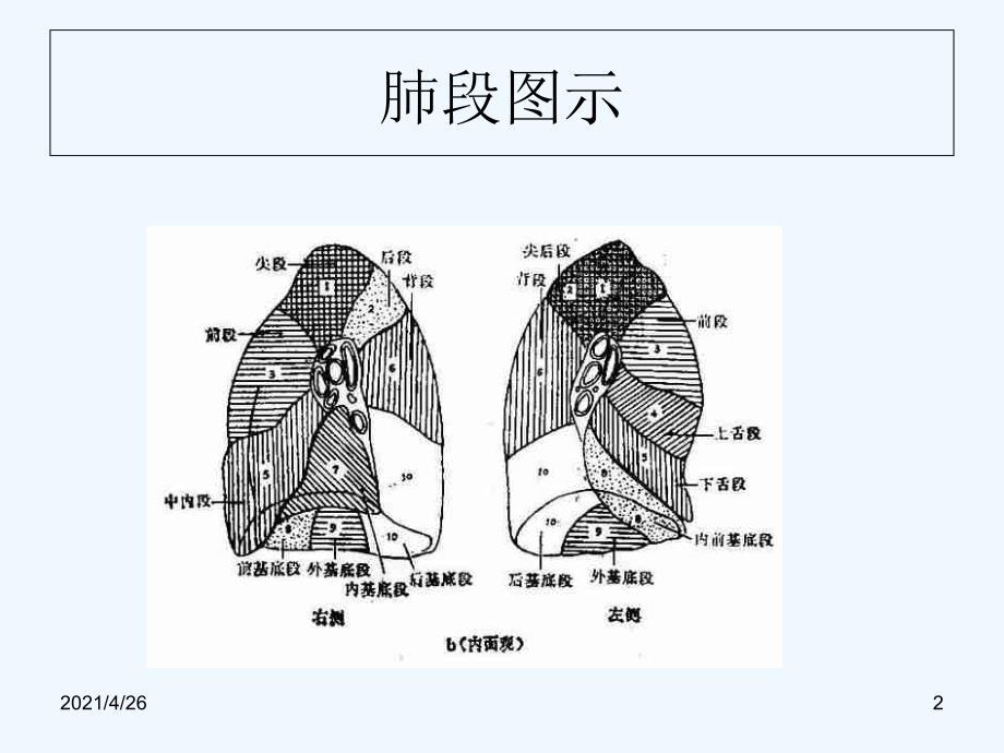 肺段CT识别口诀配图_第2页