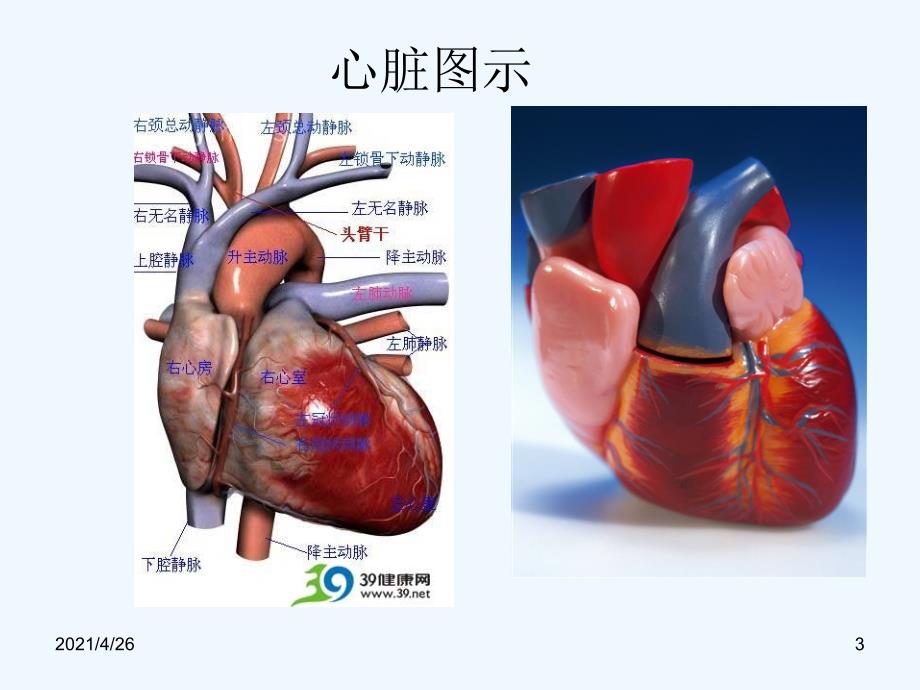 肺段CT识别口诀配图_第3页