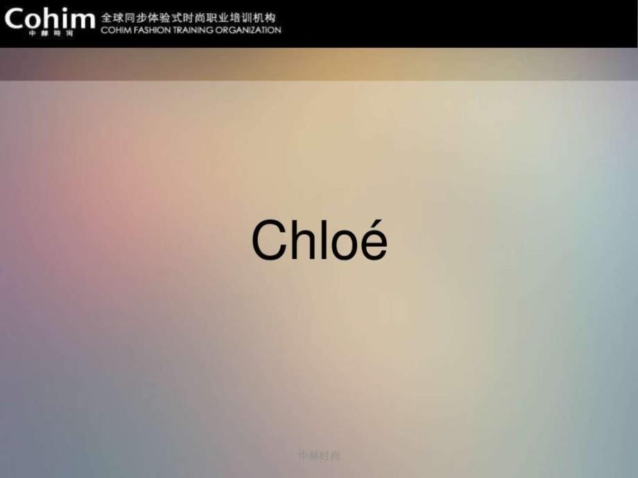 chloe品牌学习图文.ppt15_第1页