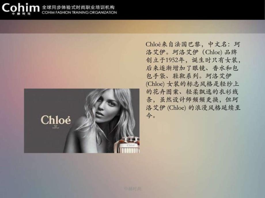 chloe品牌学习图文.ppt15_第2页