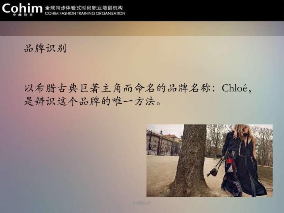 chloe品牌学习图文.ppt15_第4页