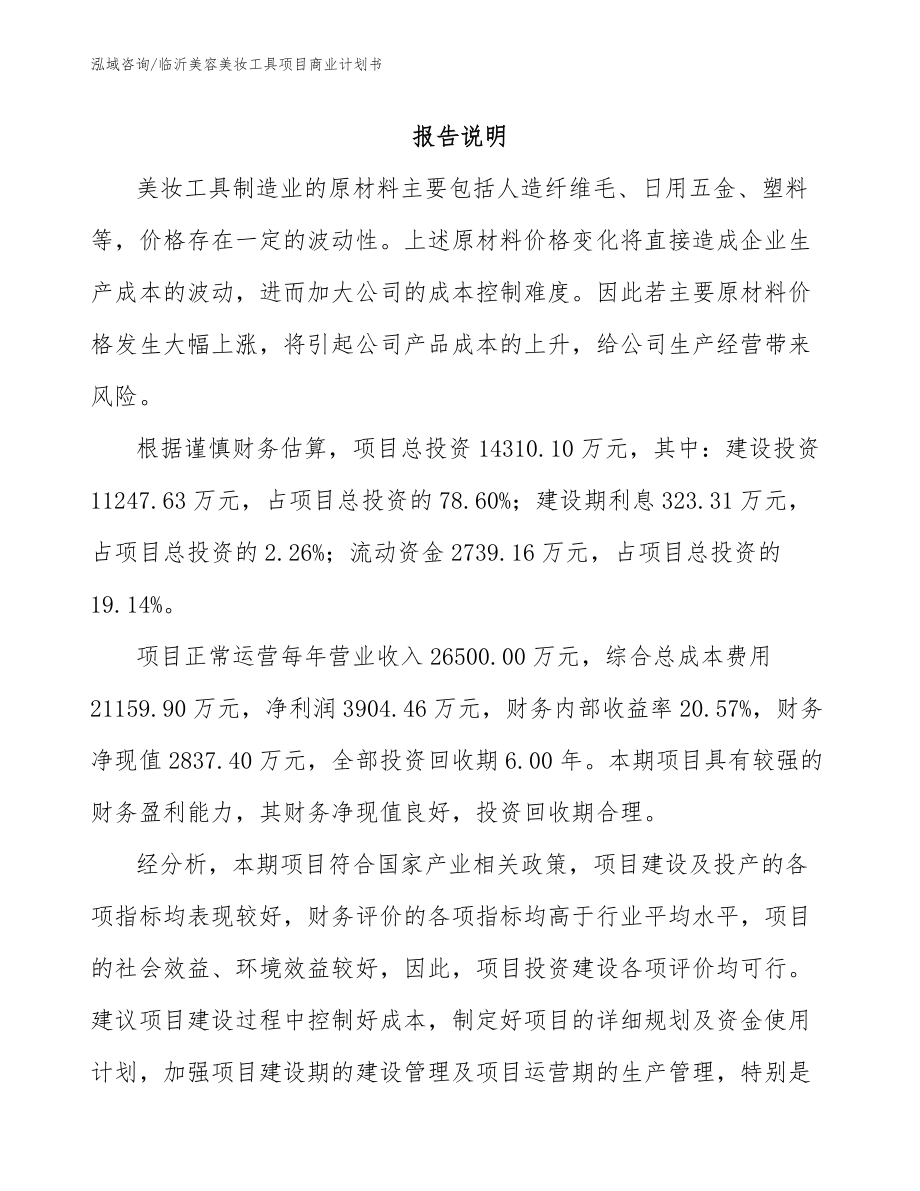 临沂美容美妆工具项目商业计划书_第2页