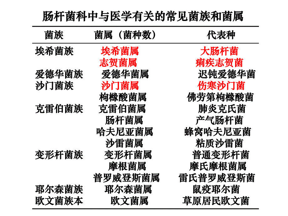 医学微生物学：10 肠杆菌科_第2页