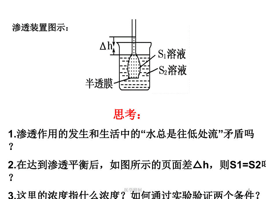 物质跨膜运输实例复习（内容详细）_第4页