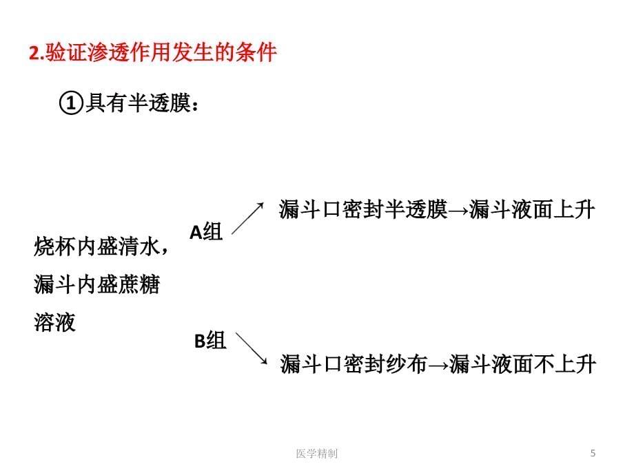 物质跨膜运输实例复习（内容详细）_第5页