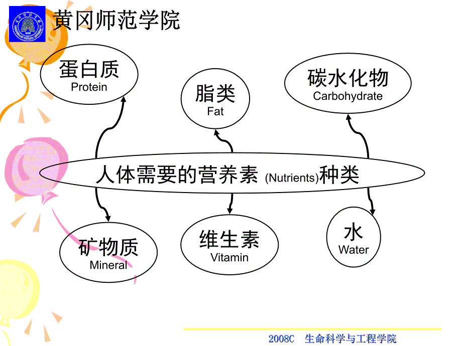 人体构成与消化吸收_第3页