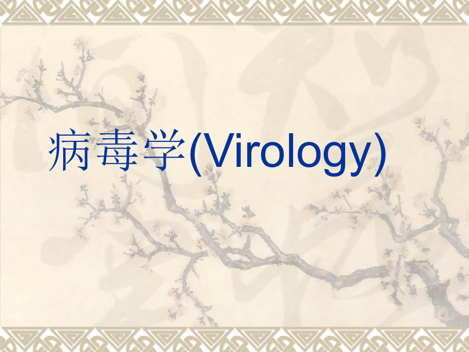 病毒学VirologyPPT课件_第1页