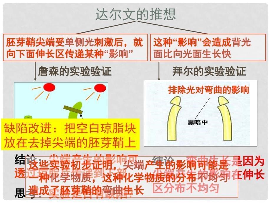 河北省南宫市高中生物 第三章 植物的激素调节 3.1 植物生长素的发现（2）课件 新人教版必修3_第5页