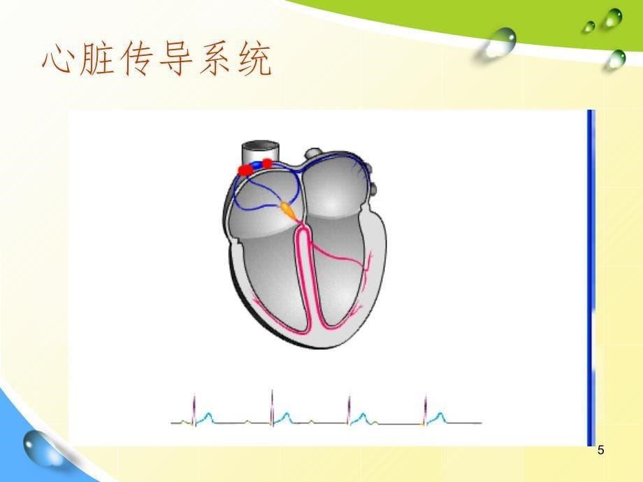 常见心律失常及处理PPT课件_第5页