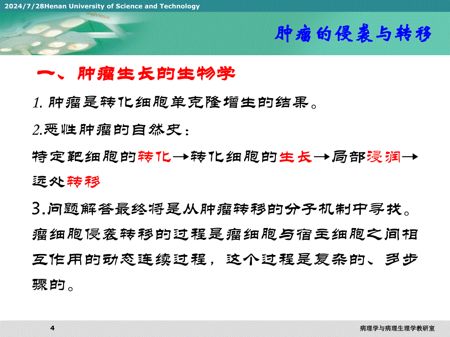 肿瘤的侵袭与转移.ppt_第4页