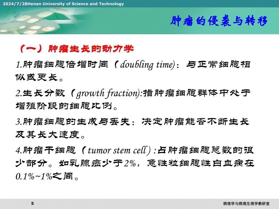 肿瘤的侵袭与转移.ppt_第5页