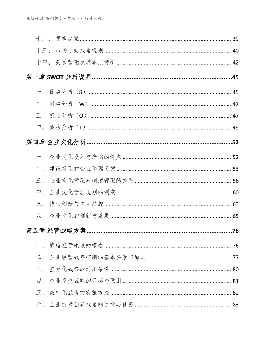 贺州妇女发展项目可行性报告模板参考_第3页