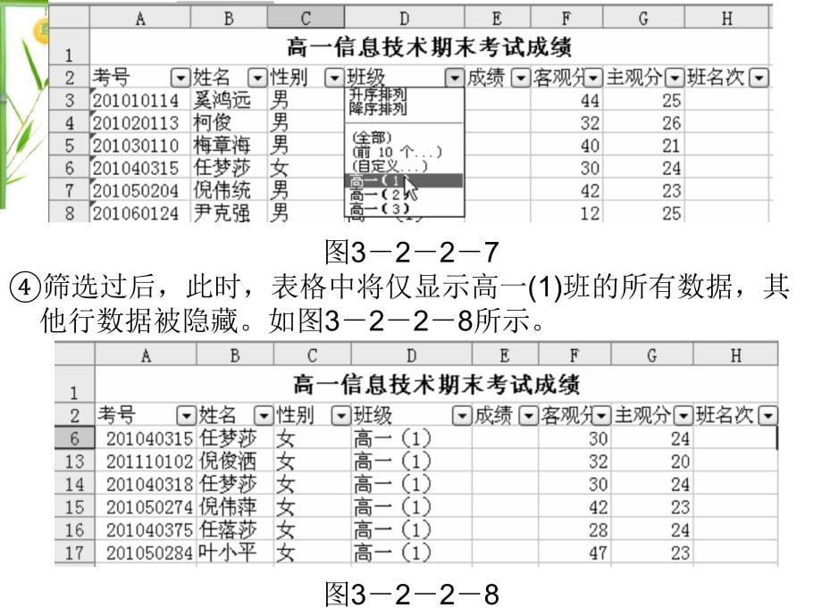 3.2.2.3数据分析：排序与筛选(1.5课时)_第5页