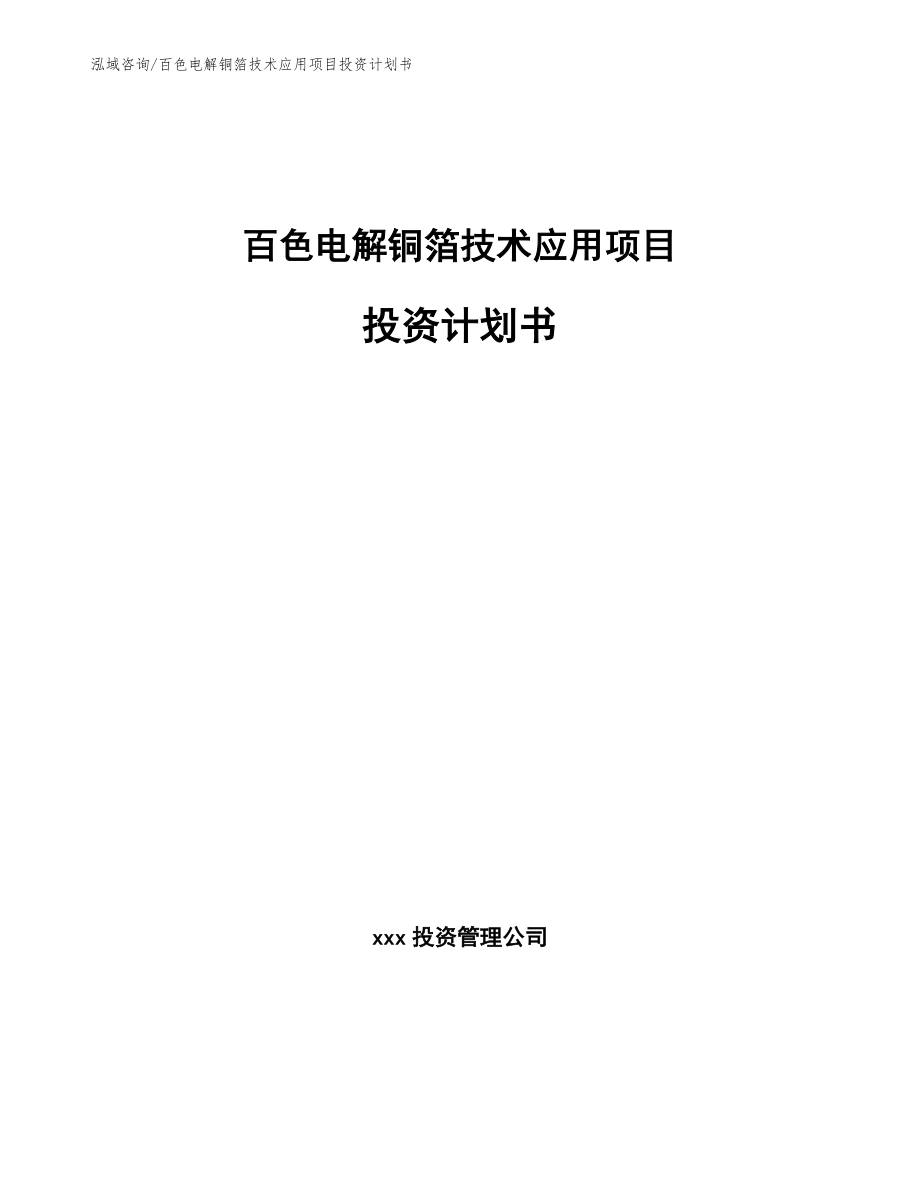 百色电解铜箔技术应用项目投资计划书_第1页