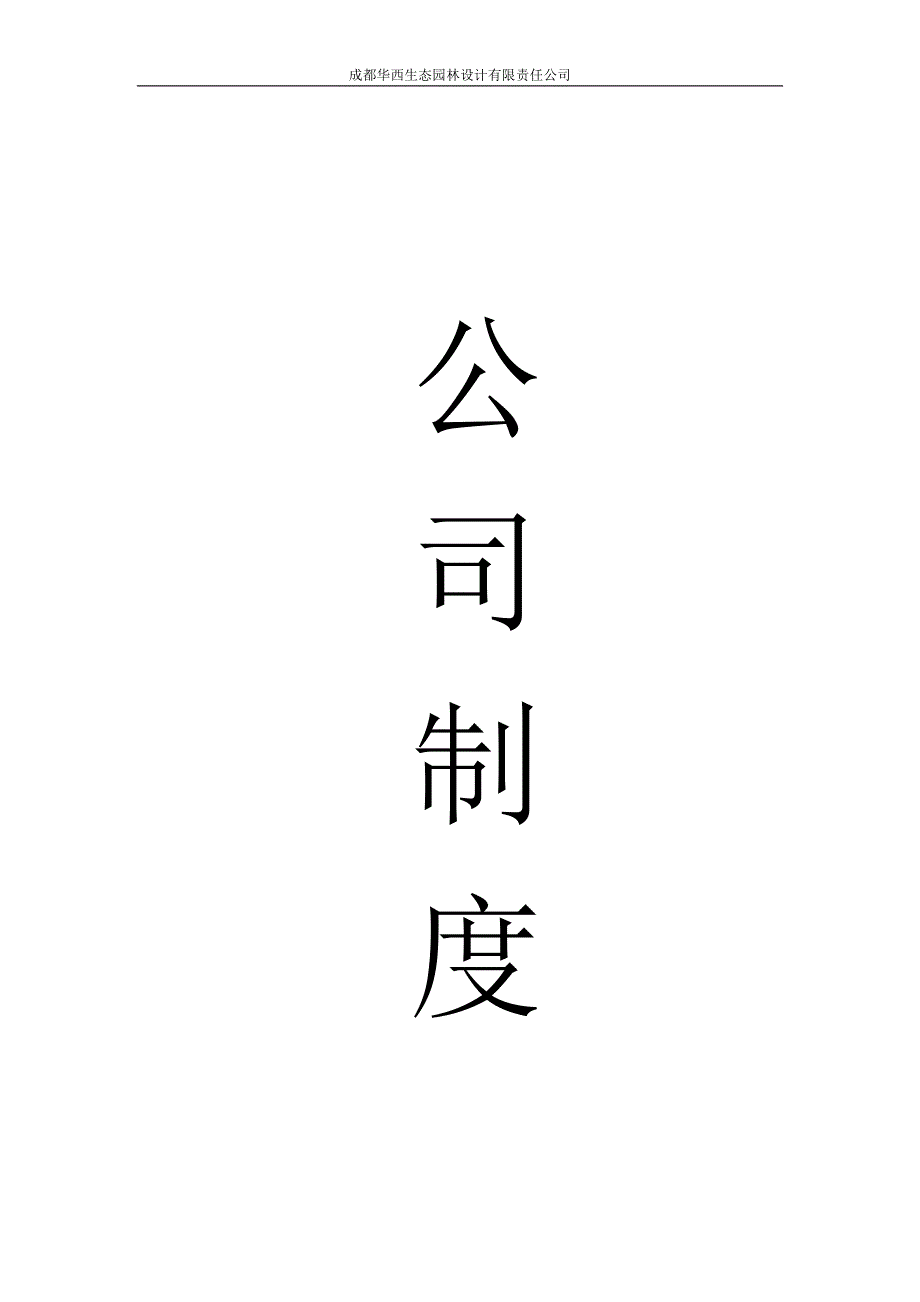 公司制度正稿.doc_第1页