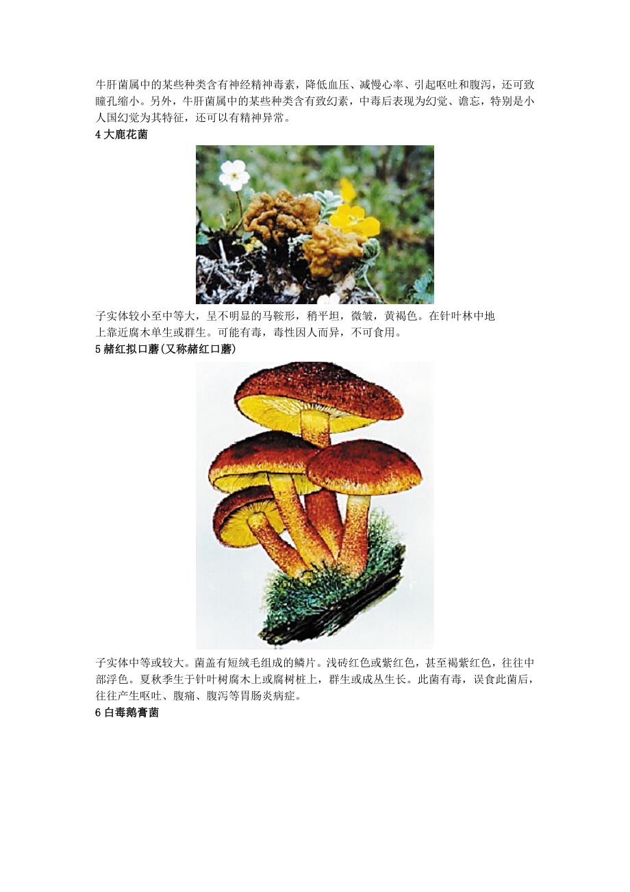毒菇难辨切勿采食教你辨认21种常见毒蘑菇图_第2页