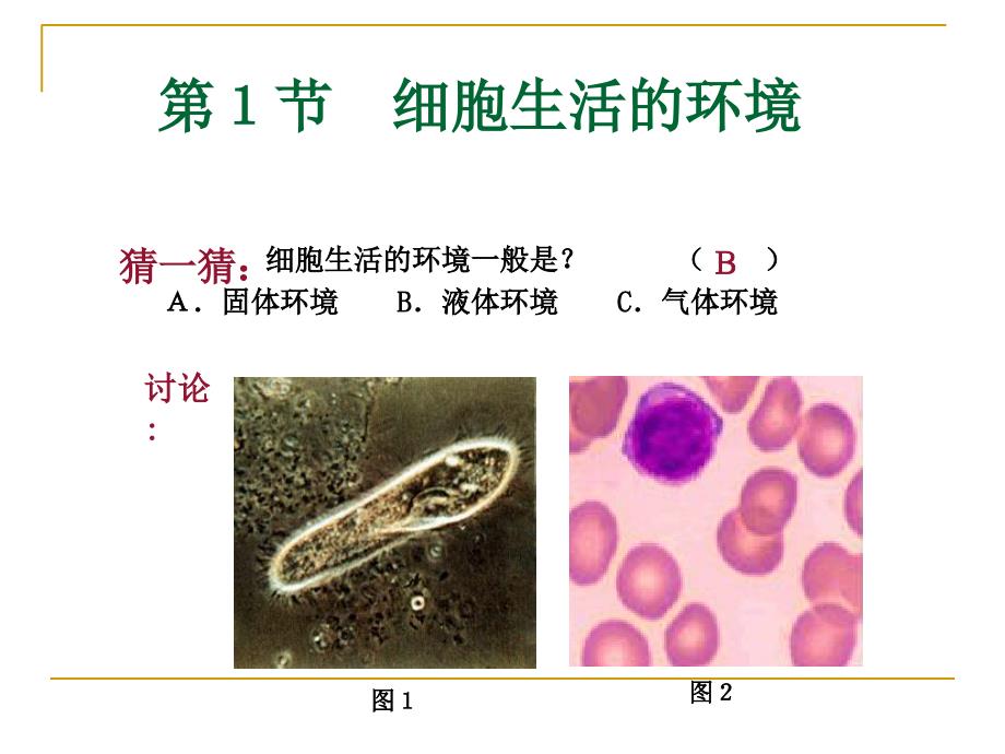 人体内环境与稳态_第2页