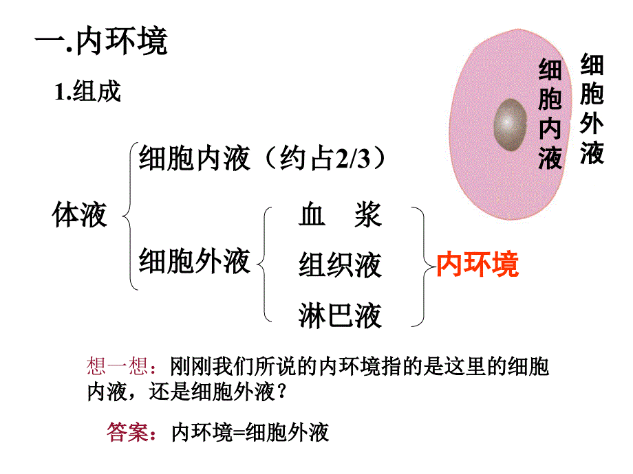 人体内环境与稳态_第3页