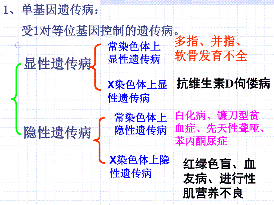 第一节人类遗传病的主要类型 (2)_第3页