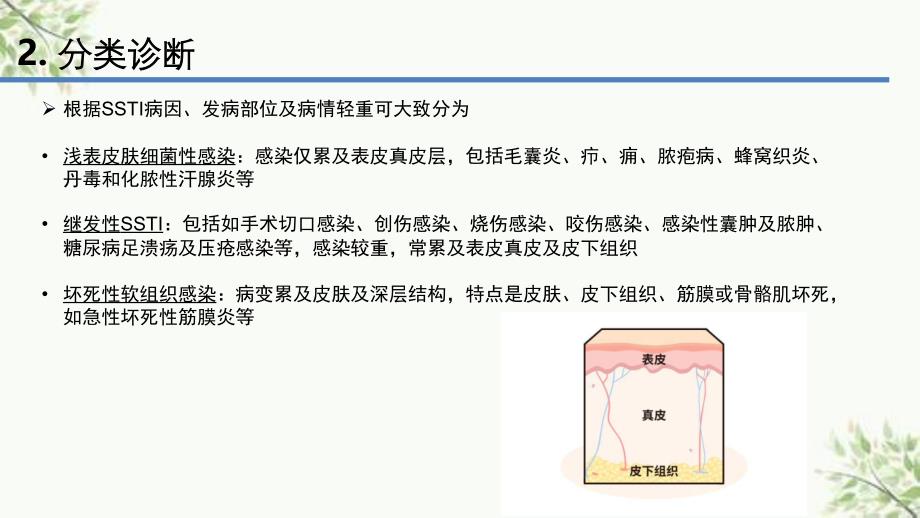 皮肤及软组织感染课件_第4页