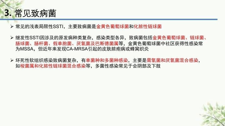 皮肤及软组织感染课件_第5页