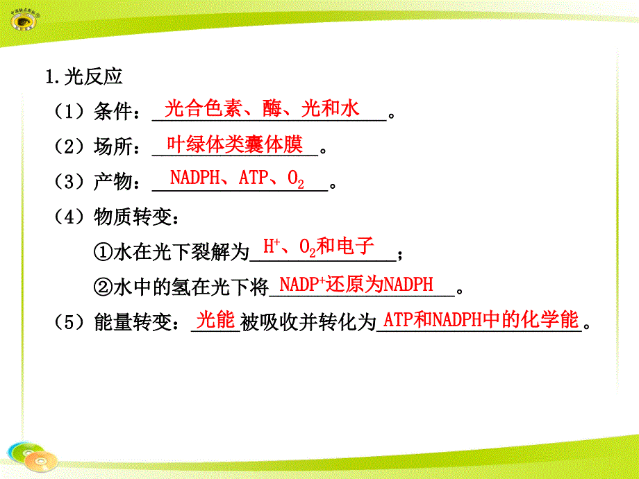 第五部分光合作用教学课件_第3页